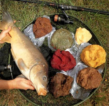 Прикормки, насадки, аттрактанты для летней рыбалки