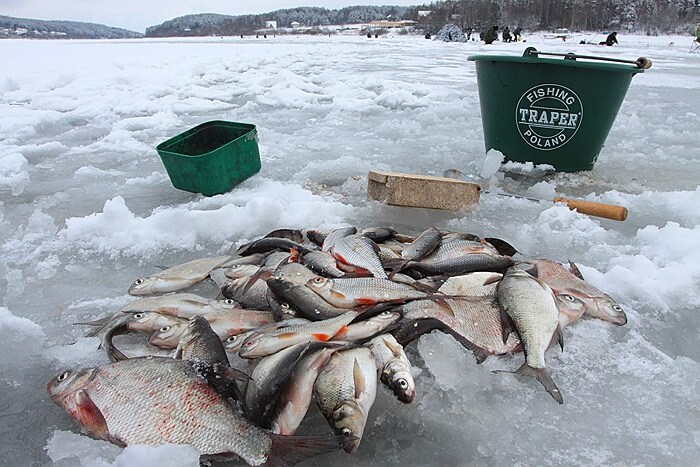 Прикормка для зимней рыбалки Traper